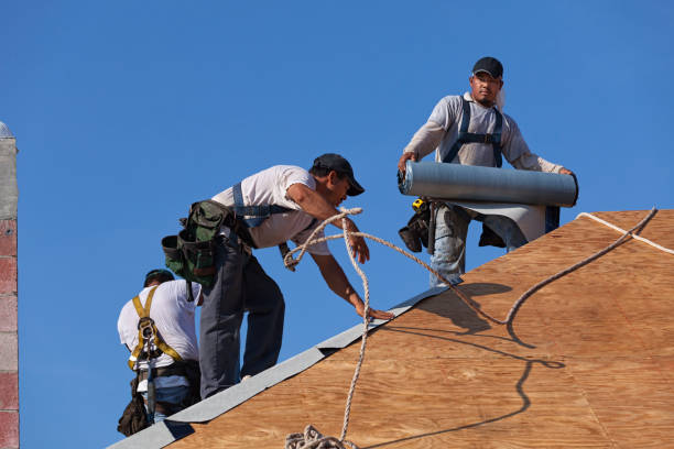 Roof Gutter Cleaning in Bryans Road, MD